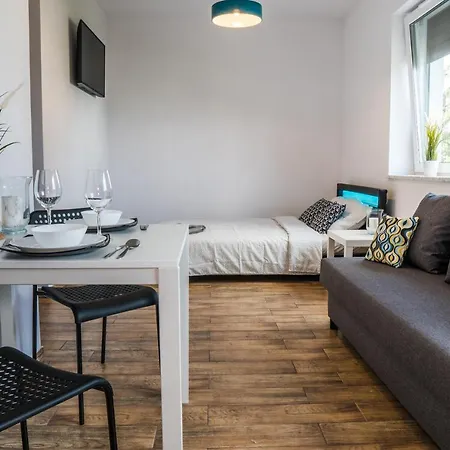 Wawelska New Apartment